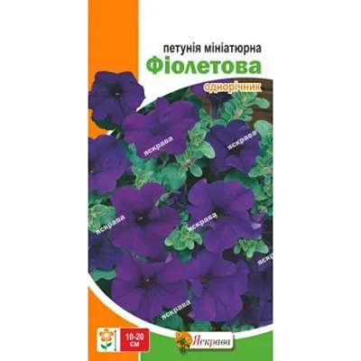 Петунія мініатюрна Фіолетова фото