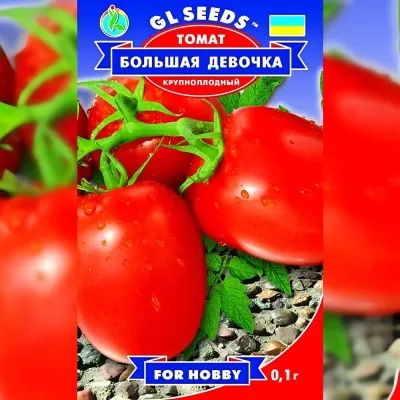 Помідор Велика дiвчинка фото