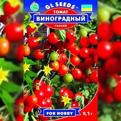Помідор Виноградний фото