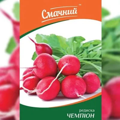 Редис Чемпіон фото