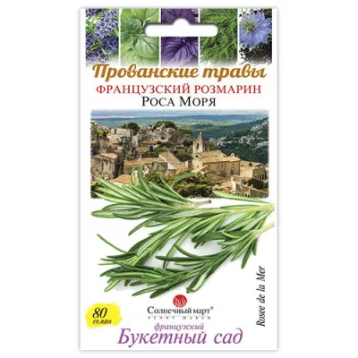 Розмарин Роса Моря фото