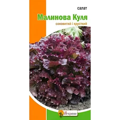 Салат Малинова Куля фото