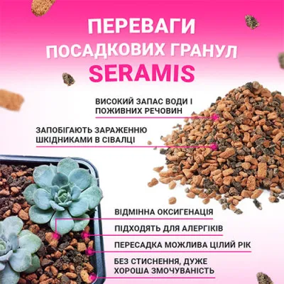 Ґрунт для сукулентів Сераміс (Seramis) 1кг фото