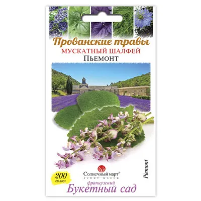 Шавлія Мускатна фото