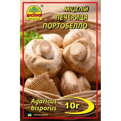 Печериця Портобелло фото