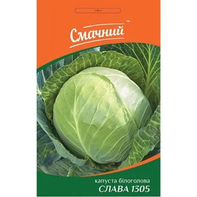Капуста Білокачанна Слава 1305 фото