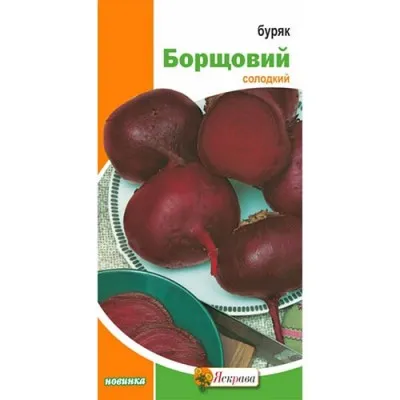 Буряк столовий Борщевий фото