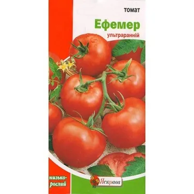 Помідор Ефемер фото
