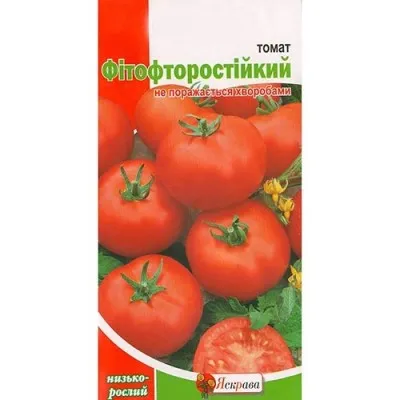 Помідор Фітофторостійкий фото