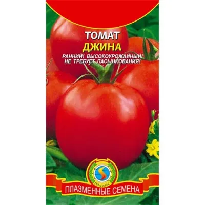 Помідор Джина фото