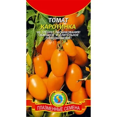 Помідор Каротинка фото