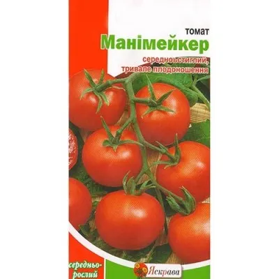 Помідор Манімейкер фото