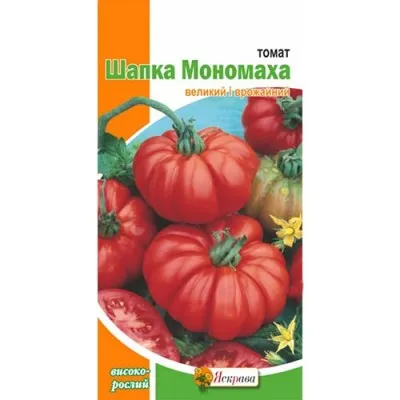 Помідор Шапка Мономаха фото