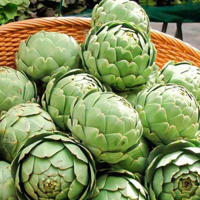 Артишок Зелений глобус фото