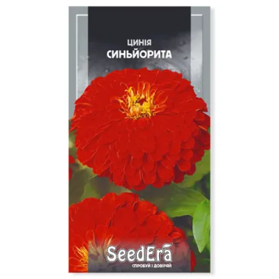 Цинія високоросла Синьйоріта фото