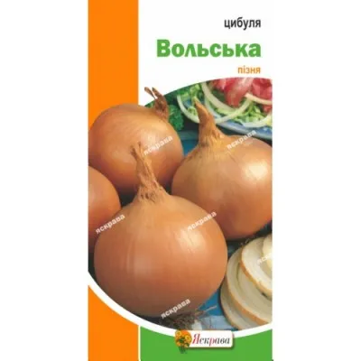 Цибуля Вольска фото