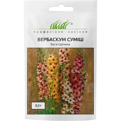 Вербаскум суміш фото