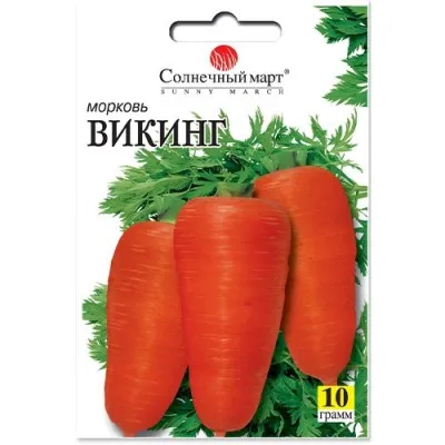 Морква Вікінг фото