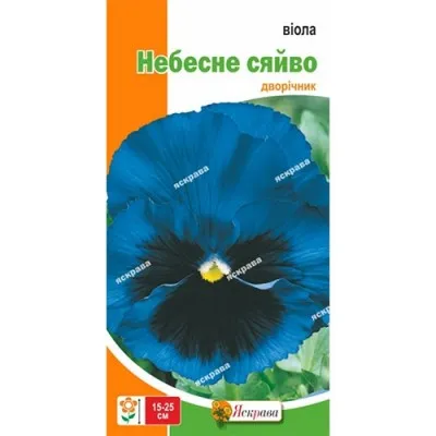 Віола Небесне сяйво фото
