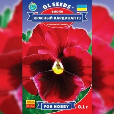 Вiола F1 Червоний кардинал фото