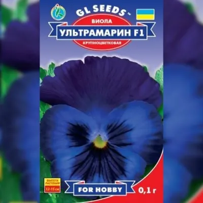 Віола F1 Ультрамарин фото