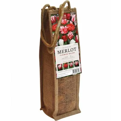 Комплект Тюльпанів Wine Merlot (Брендові цибулини KAPITEYN®) фото