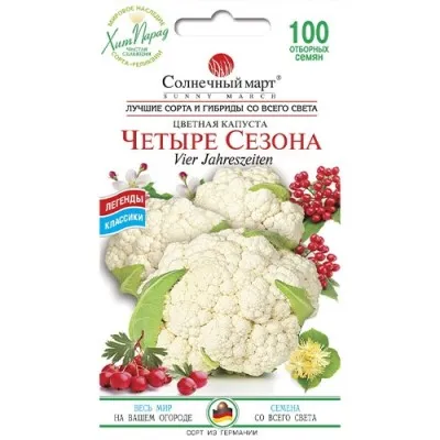 Капуста цвітна Чотири сезони фото