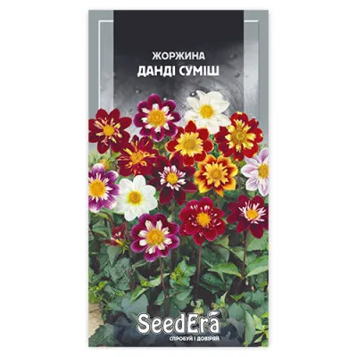Жоржина Данді суміш фото