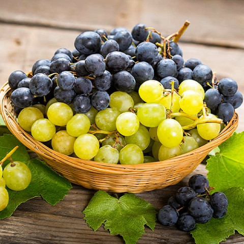 Мікс саджанців щепленого винограду Щедрий Урожай фото