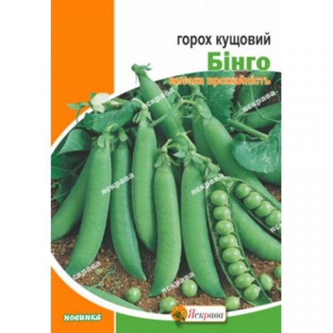 Горох овочевий Бінго гігант-пакет фото