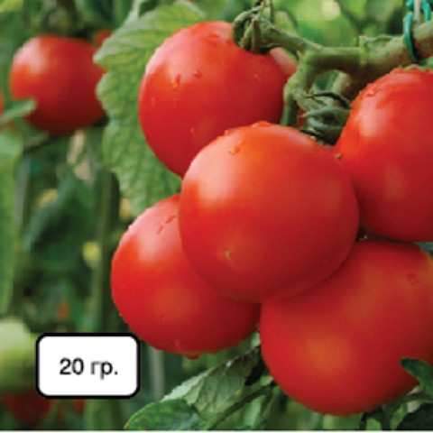 NPK+Мікроелементи (для томатів та пасльонових) фото
