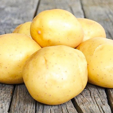 Картопля Арізона (перша репродукція) фото