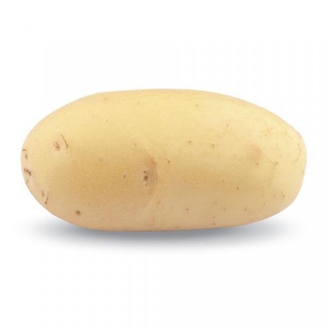 Картопля Челенджер фото
