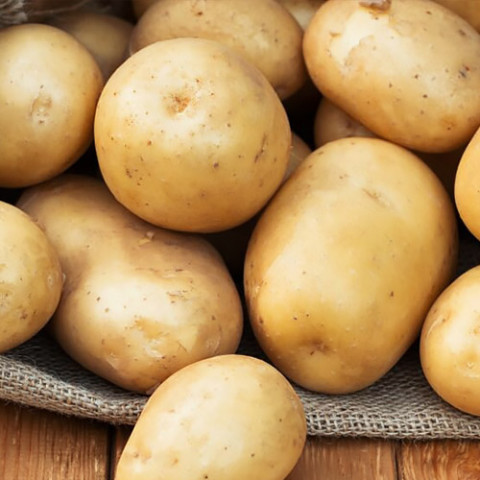Насіння картоплі Реванш фото