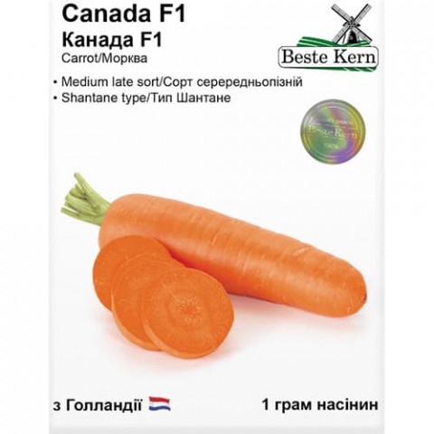 Морква Канада, ТМ Beste Kern фото