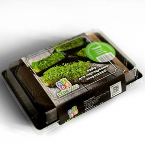 Набір для вирощування мікрозелені Спайсі, гірчиця, рукола, крессалат фото
