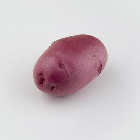 Картопля Фламенко фото