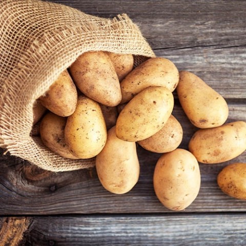 Насіння картоплі Ассоль фото