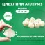 Алліум Мікс 5 шт - 100% від вартості на благодійну допомогу фото