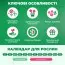 Рек-бокс Бегонія Pendula-Cascade Yellow (Брендові цибулини KAPITEYN®) фото