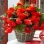 Бегонія Cascade Odorosa Red Sunset фото