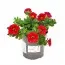 Калібрахоа MF Sangria Red фото