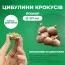 Крокус Artabir (Артабір) 3 шт - 100% від вартості на благодійну допомогу фото