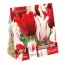 Комбо Тюльпани Duopack Lilyflowering Red and White (Брендові цибулини KAPITEYN®) фото