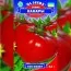 Помідор Канари фото