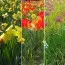 Мікс ландшафтний Floriade фото