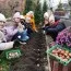 Благодійний внесок 