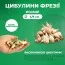 Фрезія Single White (Приємний аромат) фото