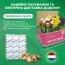 Гіацинтоїдес Non-scripta фото