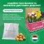 Ірис Hollandica Rendez Vous фото